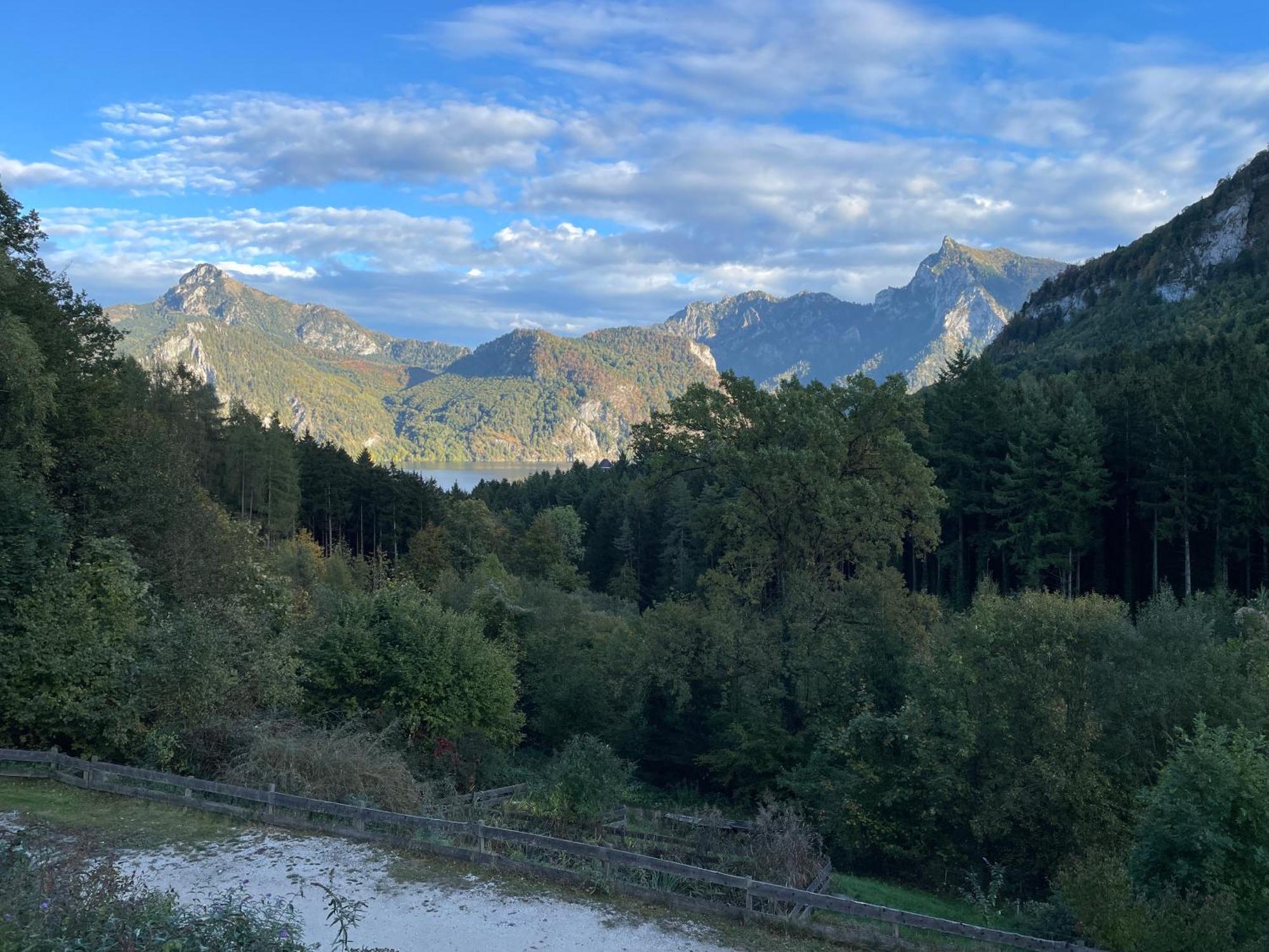 Pension 'S Waldeck Traunkirchen Dış mekan fotoğraf